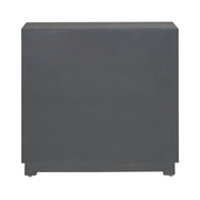 Fiore 2 Door Accent Cabinet image