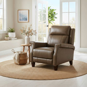 Raleigh Pushback Recliner image