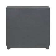 Fiore 2 Door Accent Cabinet image