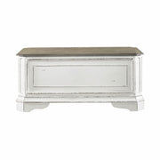 Magnolia Manor Storage Trunk in Antique White image