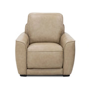 Blake Recliner P2 & ZW image