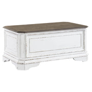 Magnolia Manor Storage Trunk in Antique White image
