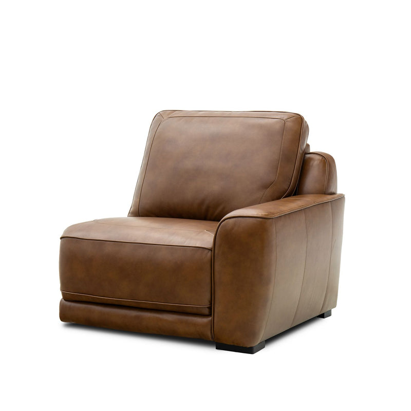 Blake R Arm Recliner P2 & ZW