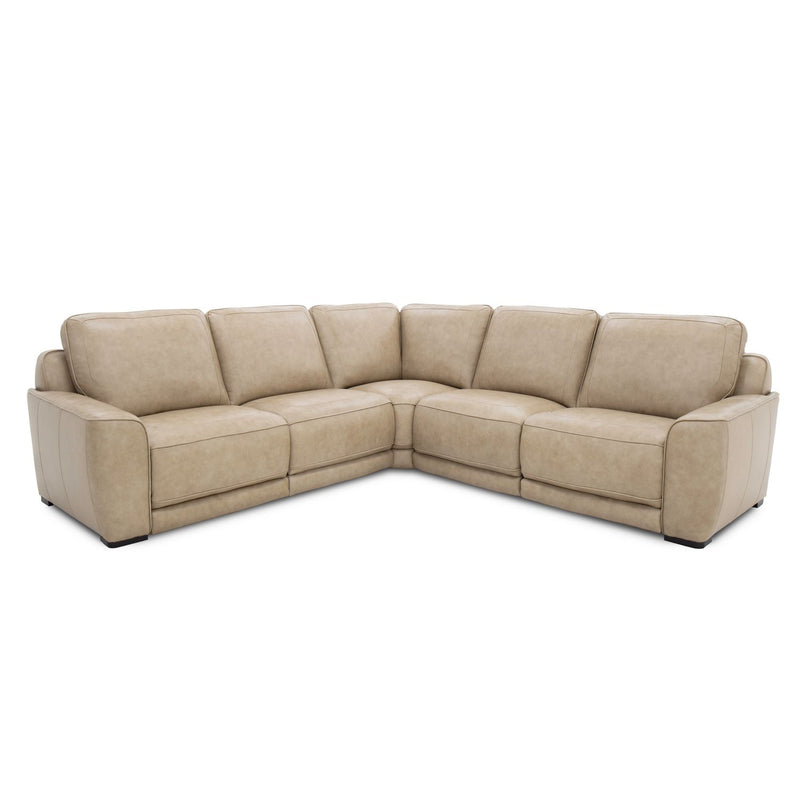 Blake Sectional image