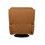 Chase SG Recliner P3 & ZG image