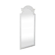 Magnolia Manor Floor Mirror image
