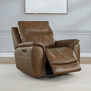 Collins SG Recliner P3 image